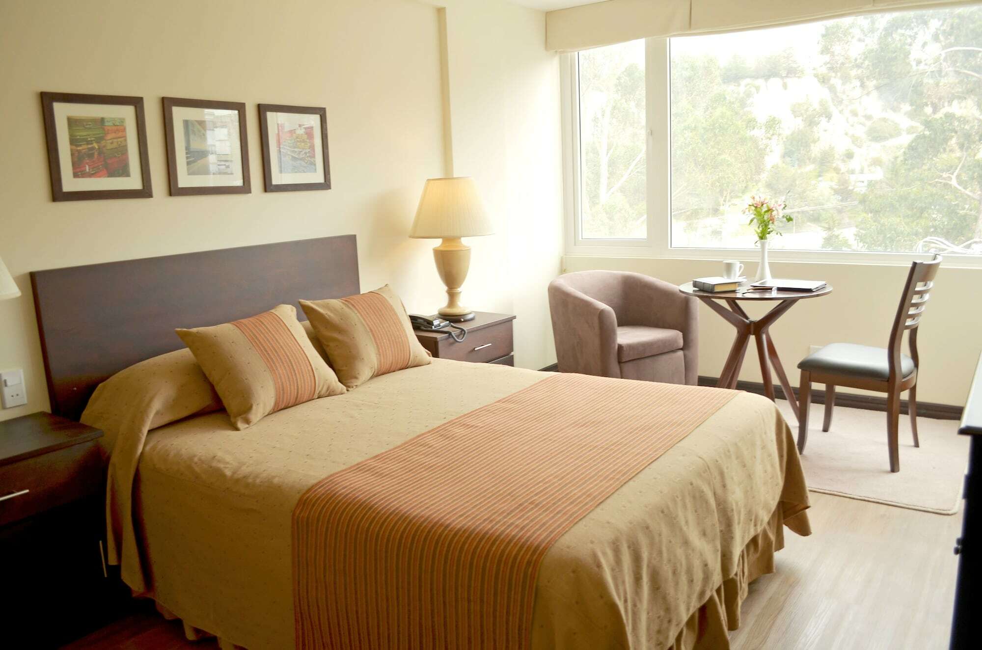 Midtown La Paz Otel Dış mekan fotoğraf